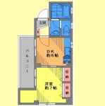 サンルピナスＦの画像