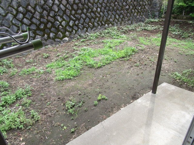 三沢B棟の庭