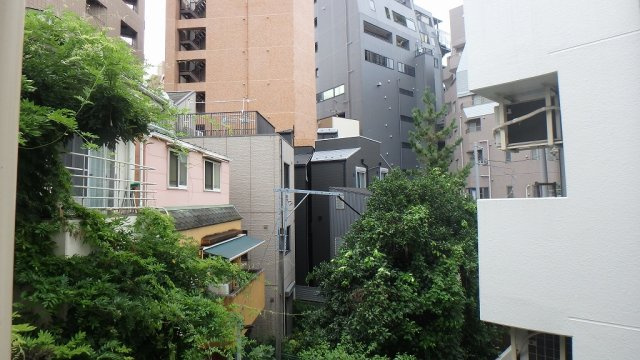 カルクス白山の展望