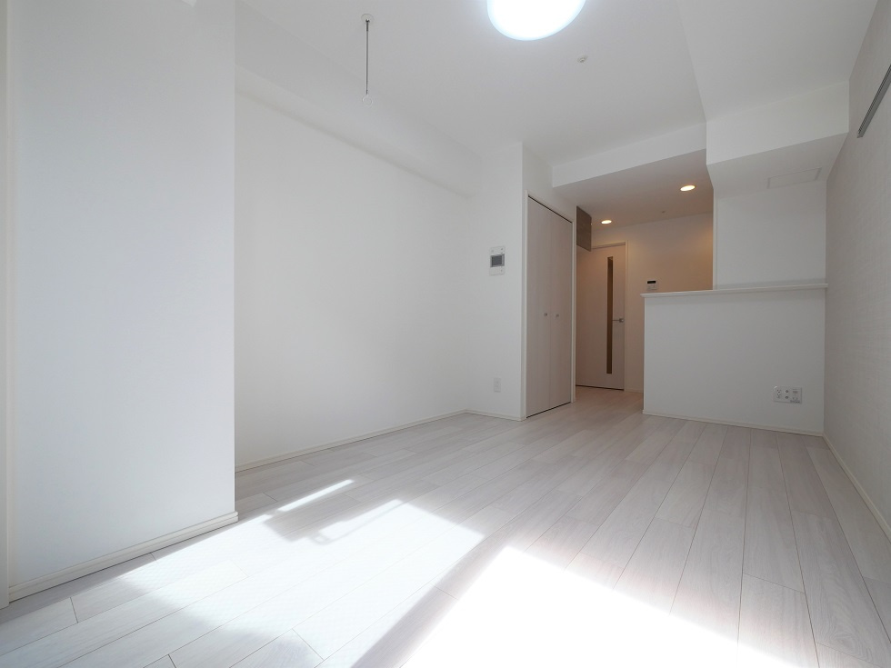 ラフィスタ錦糸町Ⅱの内装