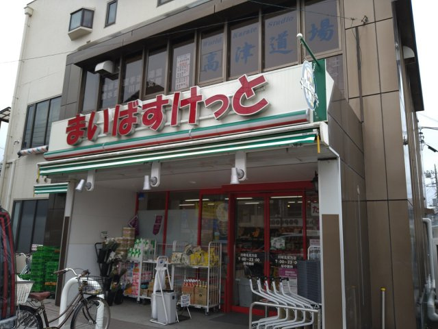 レオパレス高津の周辺