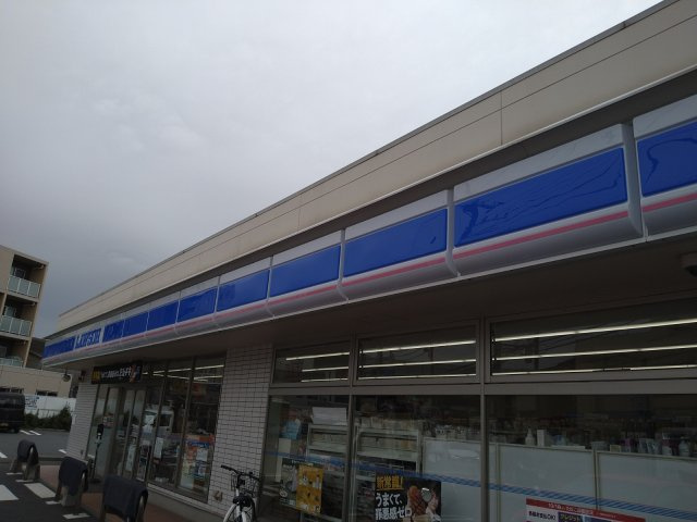 レオパレス高津の周辺