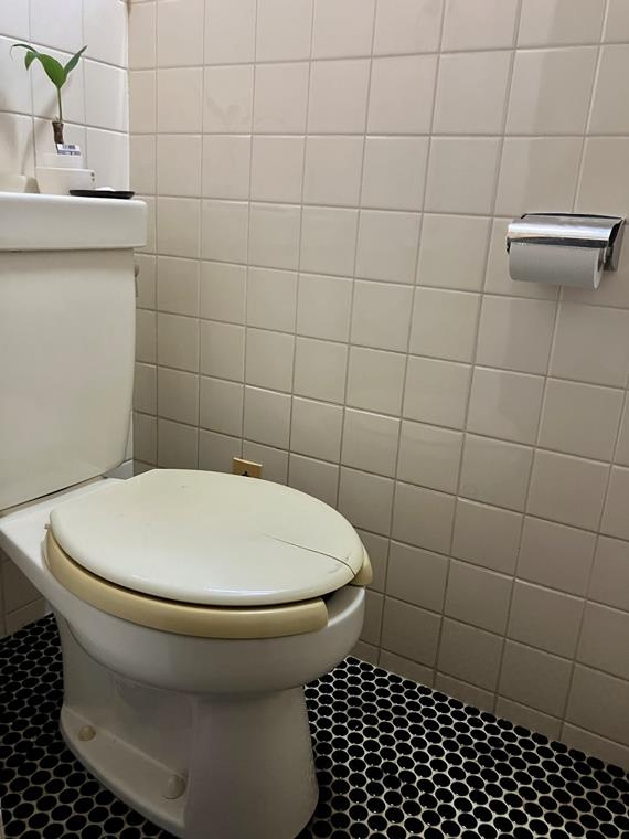 園生町戸建のトイレ|ゆったりとした空間のトイレです