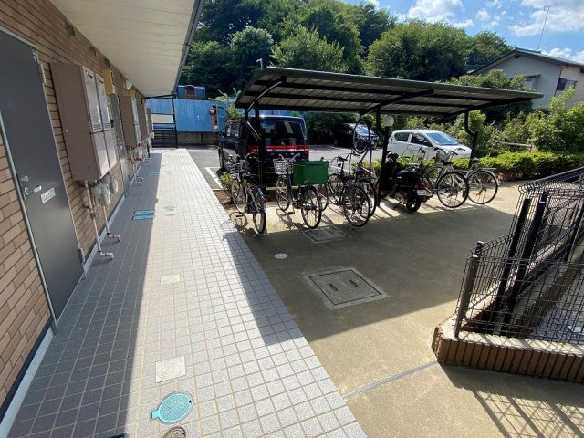 レオネクストマローネのその他