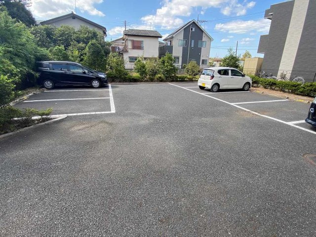 レオネクストマローネのその他