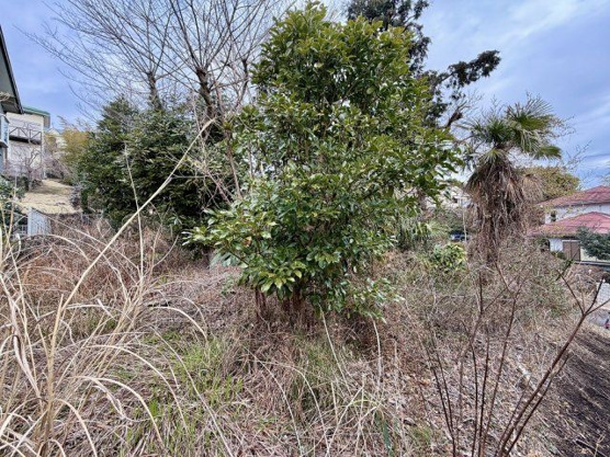 【外観】 | 大室高原別荘地　売地