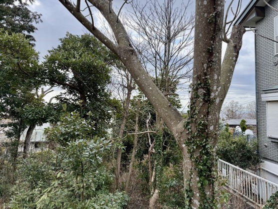 【外観】 | 大室高原別荘地　売地