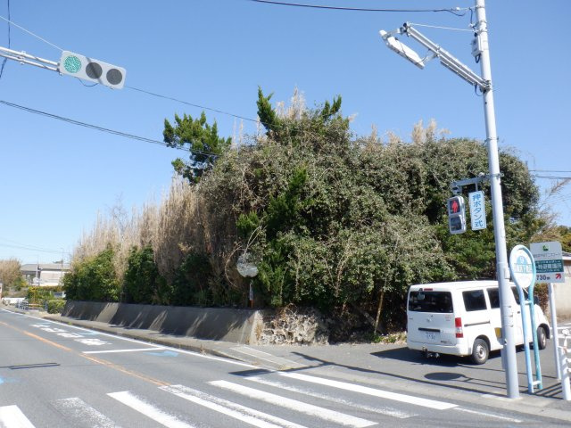 高崎土地　国道横の周辺