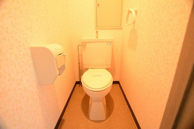 ティファニーヒルズのトイレ|落ち着いた色調のトイレです※同タイプの写真です