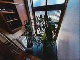 葛飾区立石１丁目の戸建の玄関