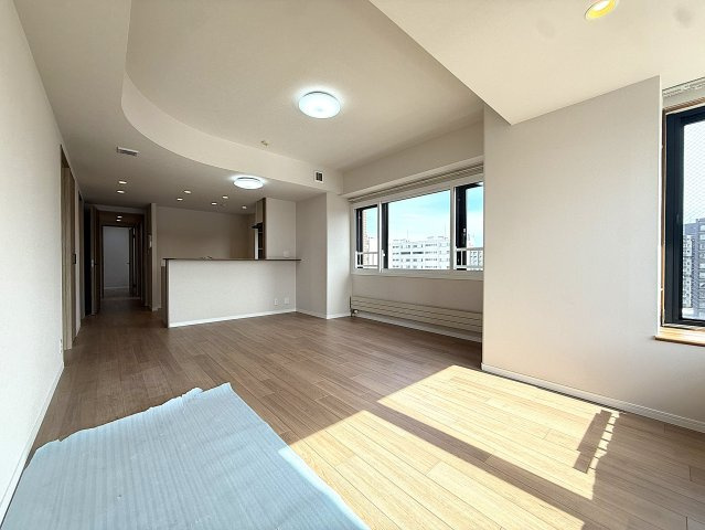 リブウェル真駒内緑町イーストヴュ―の居間・リビング