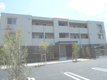 ティサージュの画像