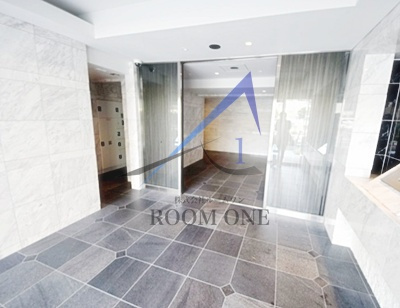 ライジングプレイス堀切のエントランス|エントランスです。