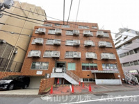 松濤サン・エルサの画像