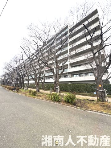 ルネグランデイズ