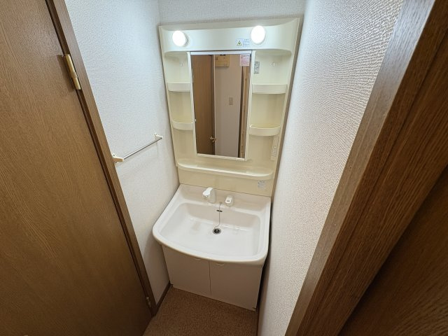 ドミール2002の洗面所