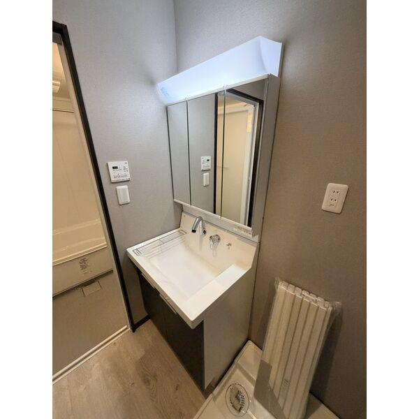 ゼクス九条の洗面所