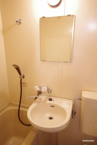 ホワイトハウス3番館　仲介手数料無料の洗面所