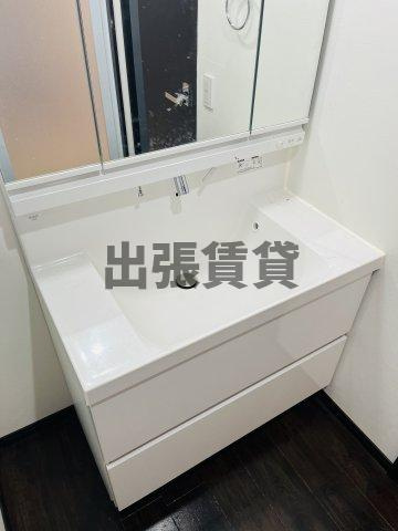 仲介手数料0円！！AREX丸の内IIの洗面所
