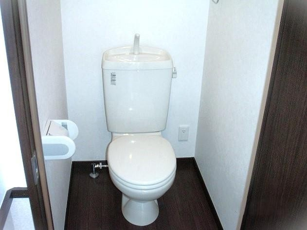 ヴェル・ドミール三枝　Ｄ棟のトイレ|落ち着いたトイレです