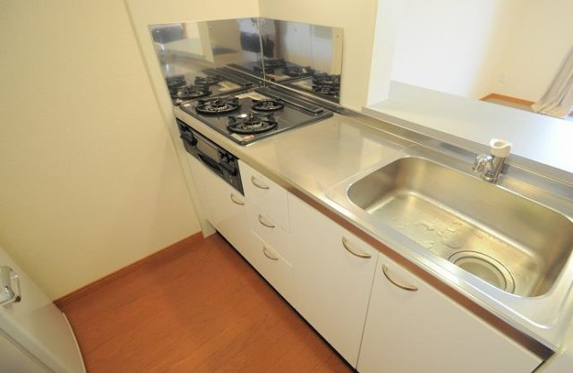 レオパレススカイコート　ナカダのキッチン