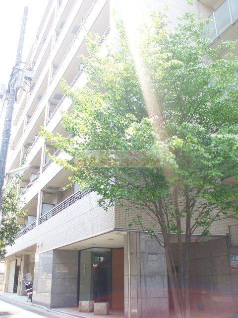 スカイコート新高円寺