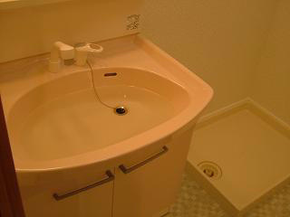 ブランジュ水広の洗面所