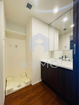 【洗面所】 | RJR堺筋本町タワー | ※同物件　別間取り　参考写真