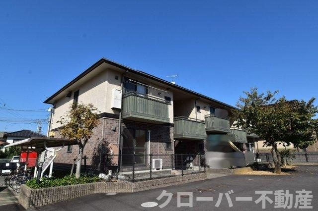 ウィルモア ベルク