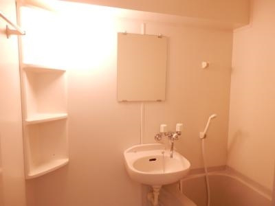 プレサンス京都二条城前の洗面所