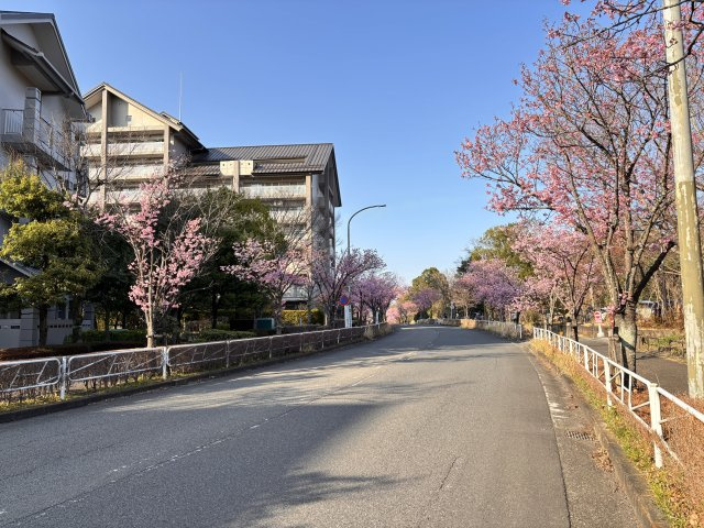 春は桜が楽しめる通り沿いに立地しています