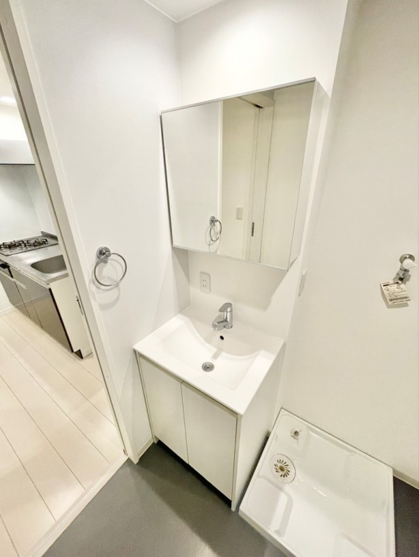 プレミア中村公園の洗面所