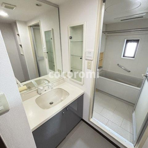 ダイアパレス枚方サウスピアの洗面所