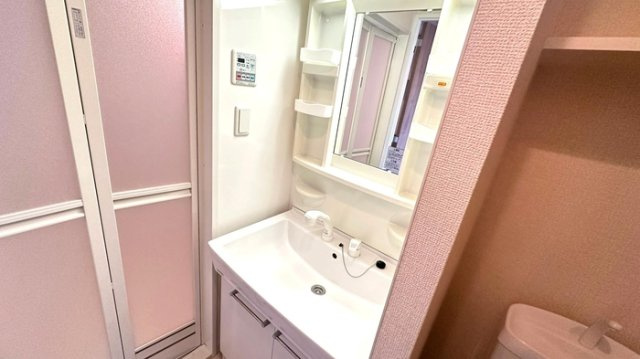 ＣＡＳＡ八番館の洗面所