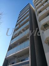 ララ三ノ輪の画像