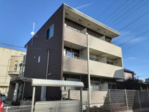 アイランダーの画像