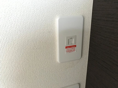  | アルビア ～ULBEA～ | インターネット