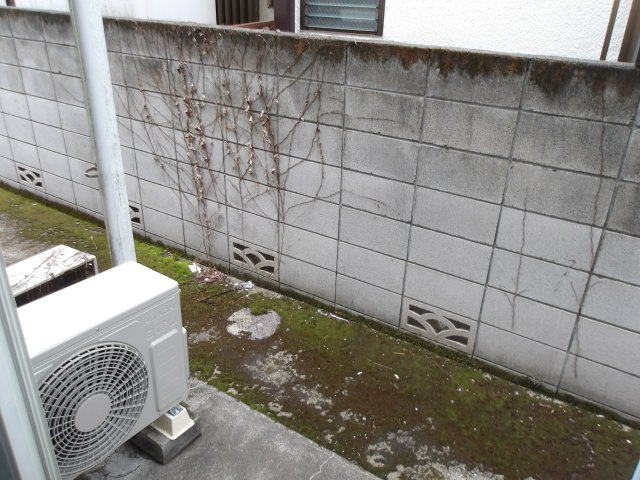 ステップ’91の庭