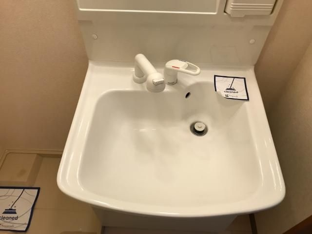 ル・ドーモ　くすの木の洗面所