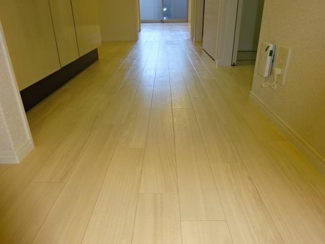 ルミナス西の土居のその他