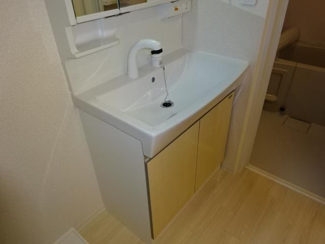 ルミナス西の土居の洗面所