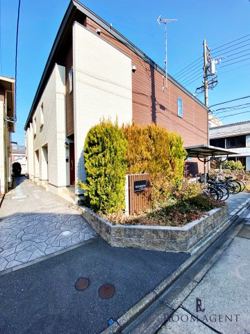 BELTA　REGINAⅡ(ベルタレジーナ)