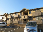 Mist Grass K(ミストグラスK)の画像