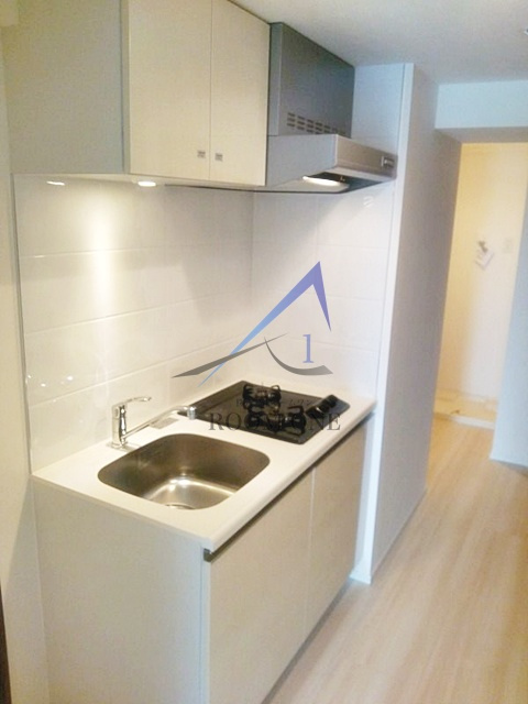 レガリス西日暮里ステーションフロントのキッチン|キッチンです。