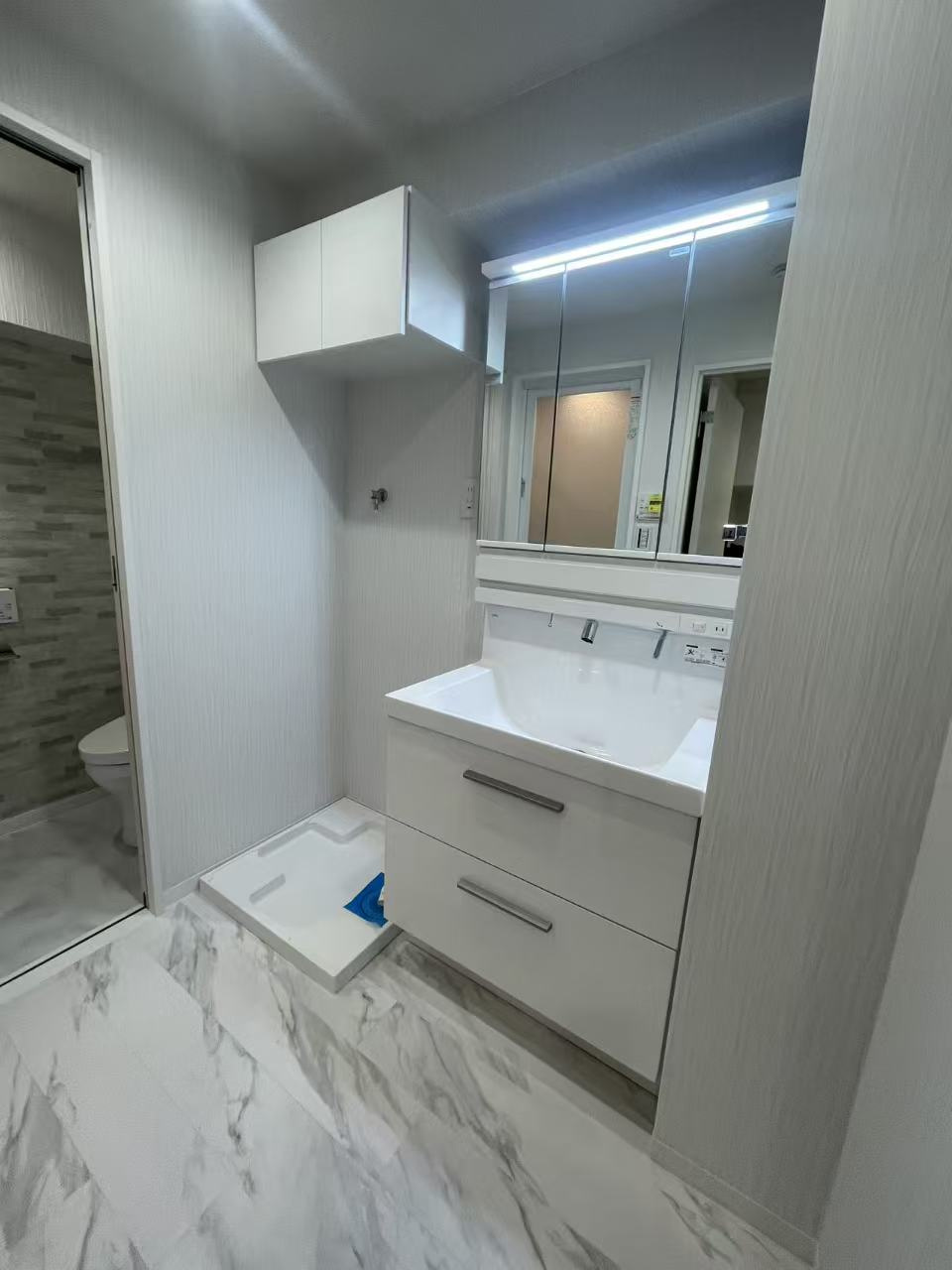 秀和第２奥沢レジデンスの脱衣所