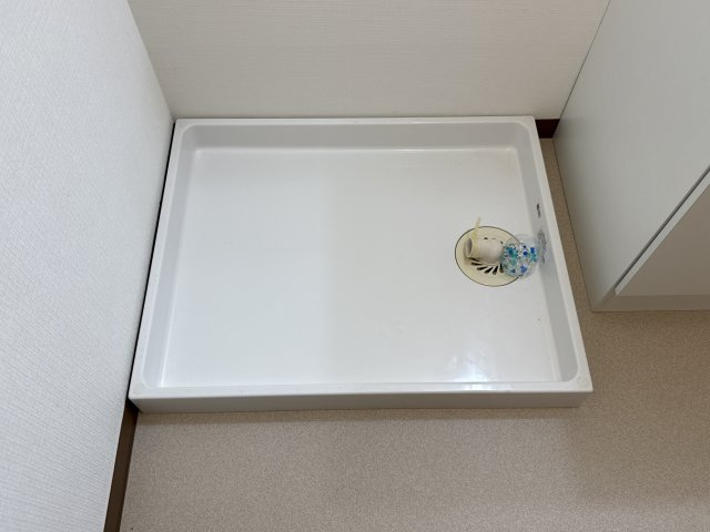 コーポラスピーチのその他