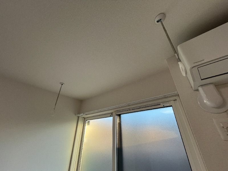 Cortesiaのその他