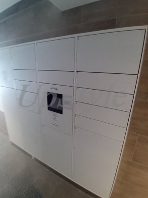 【その他】 | メインステージ入谷Ⅱ