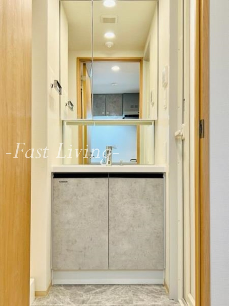 GRANSITE　WASEDAの洗面所