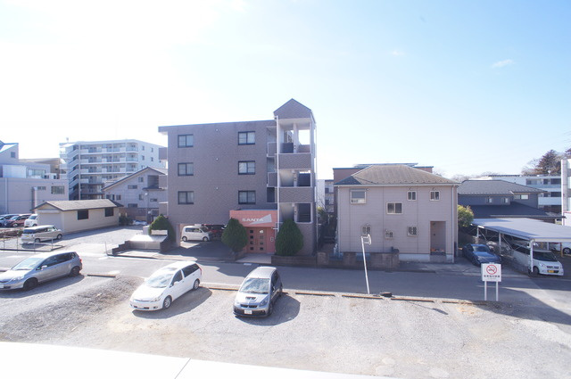 パームツリーの展望